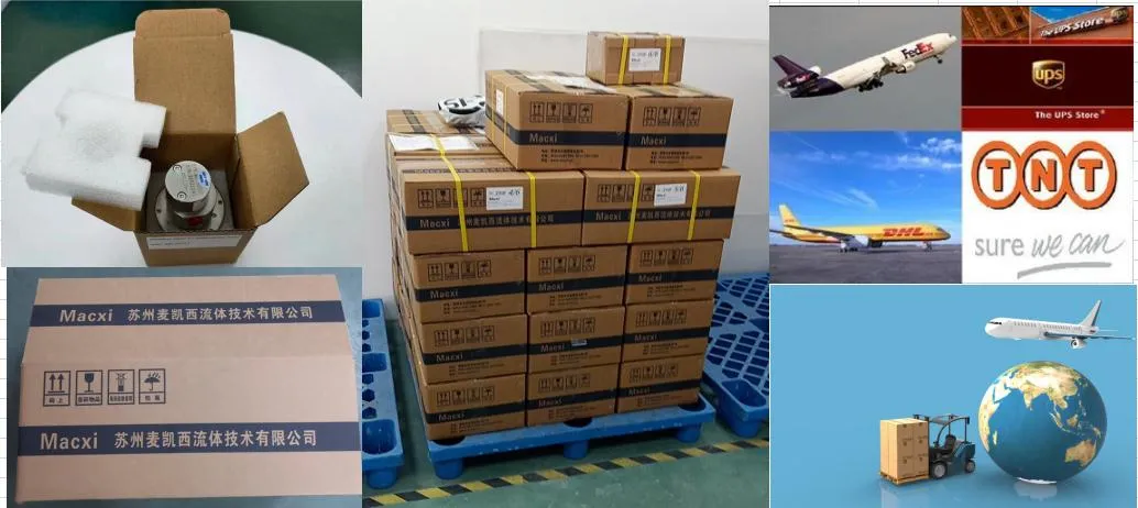 0.3 Ml/Rev Micro Magnetic Transmission Drive Rotary Water Gear Pump Inkjet Printer Pump