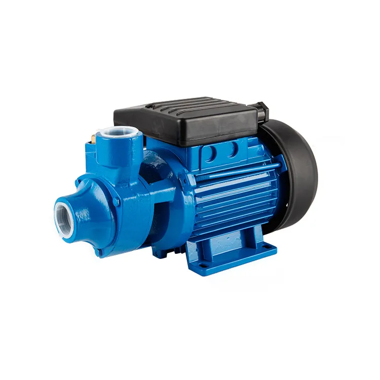 0.75kw 1HP Electric Motor Pump Pm80 Peripheral Pump Water Pump