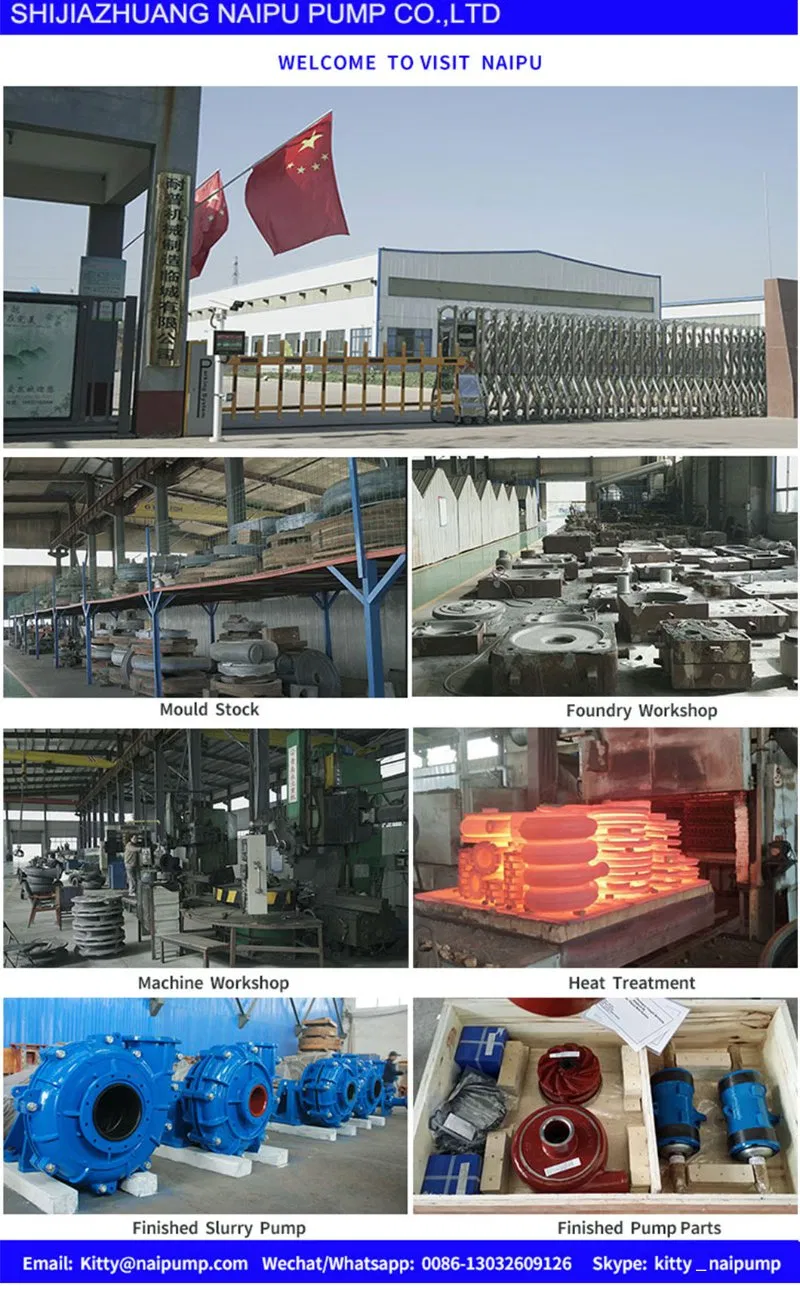 12/10f-Ah Slurry Pump Volute Liner G10110A05 A61 for Warman Pump