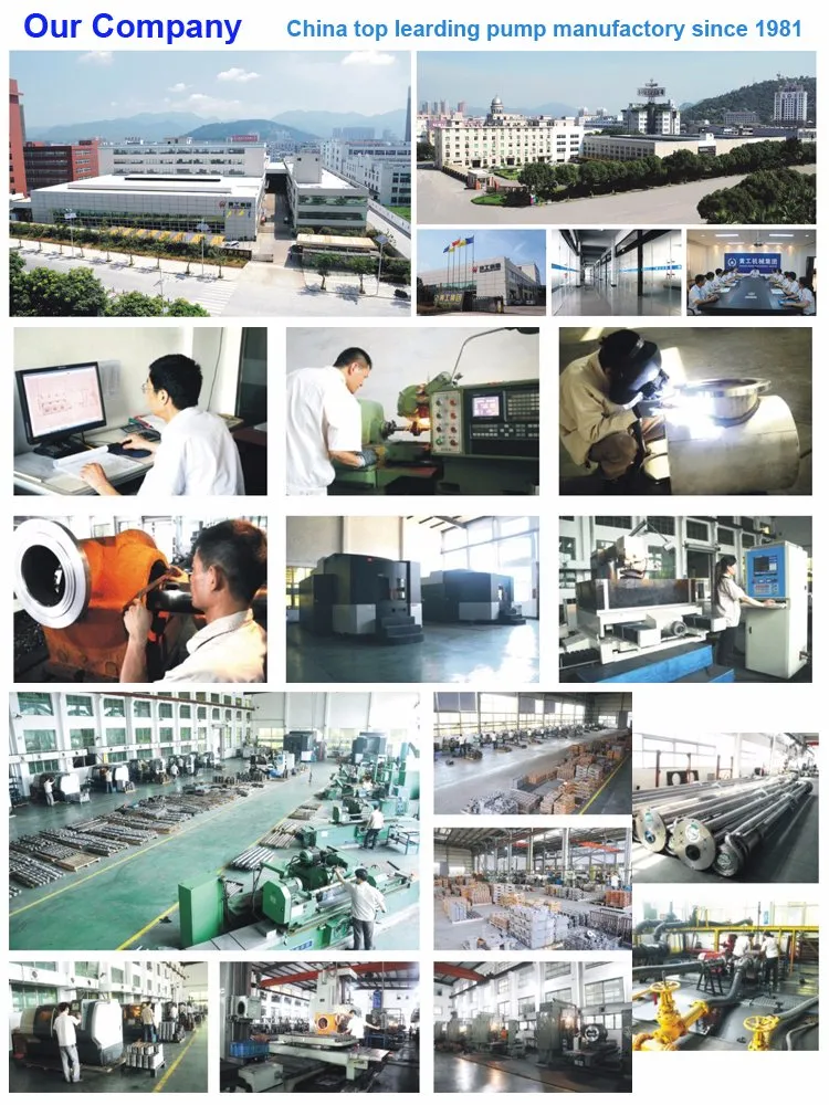 100clz-8A Series Vertical Centrifugal Self-Priming Marine Pump