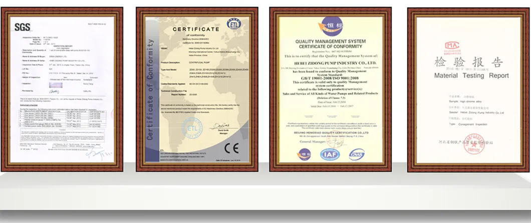 100RV Dewatering Mud Vertical Sump Slurry Pump