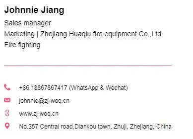 10bar 520lpm 27HP Portable Fire Fighting Pump with 2 Outlets