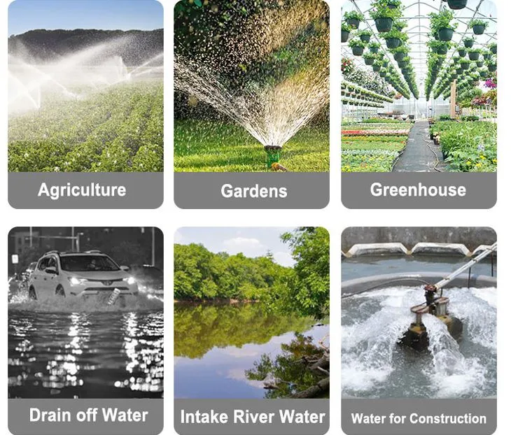 2-Inch Diesel Water Pump with 170f Engine