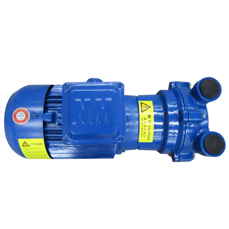 2BV Liquid Ring Vacuum Pump Ss Circulating Liquid Vacuum Pump