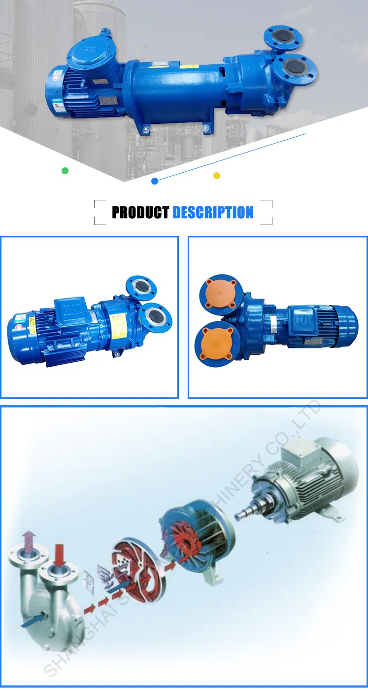 2BV Liquid Ring Vacuum Pump Ss Circulating Liquid Vacuum Pump