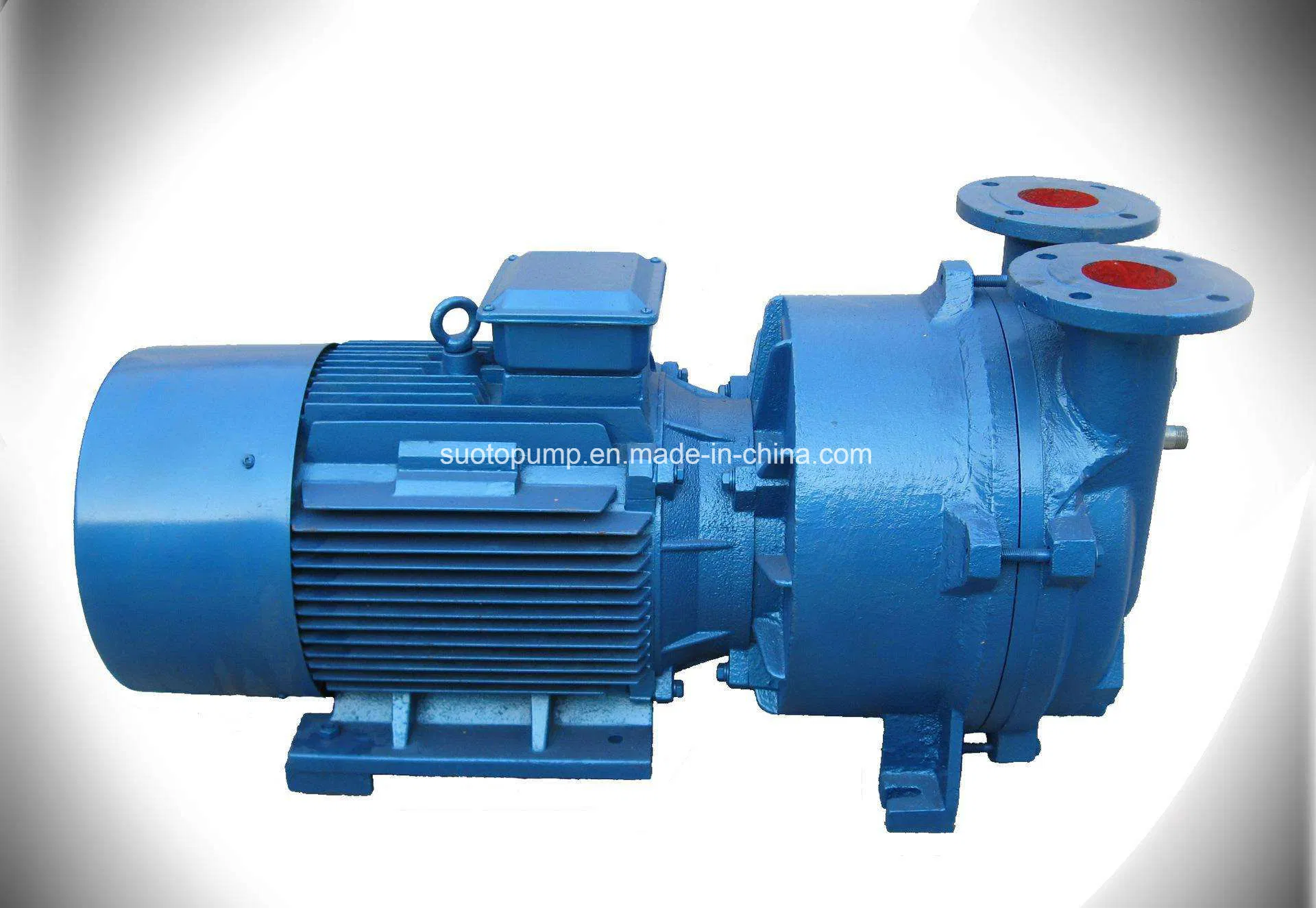 2BV Series Liquid Ring Vacuum Pump with Water separator