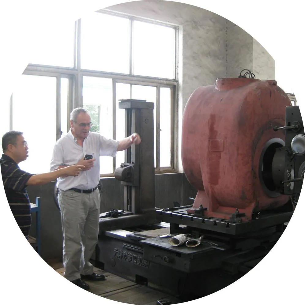 2BV Series Liquid Ring Vacuum Pump with Water separator