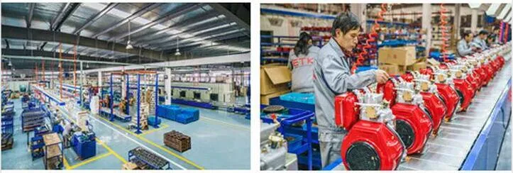 2inch Portable Recoil Start Water Pump with Diesel Engine