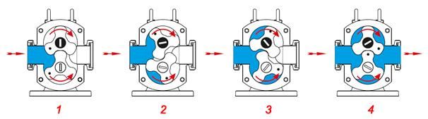 304 Rotary Lobe Pump for Toothpaste