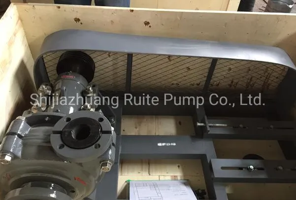 61m Head 830m3/H Flow Cantilevered Horizontal Mining Sludge Slurry Pumps