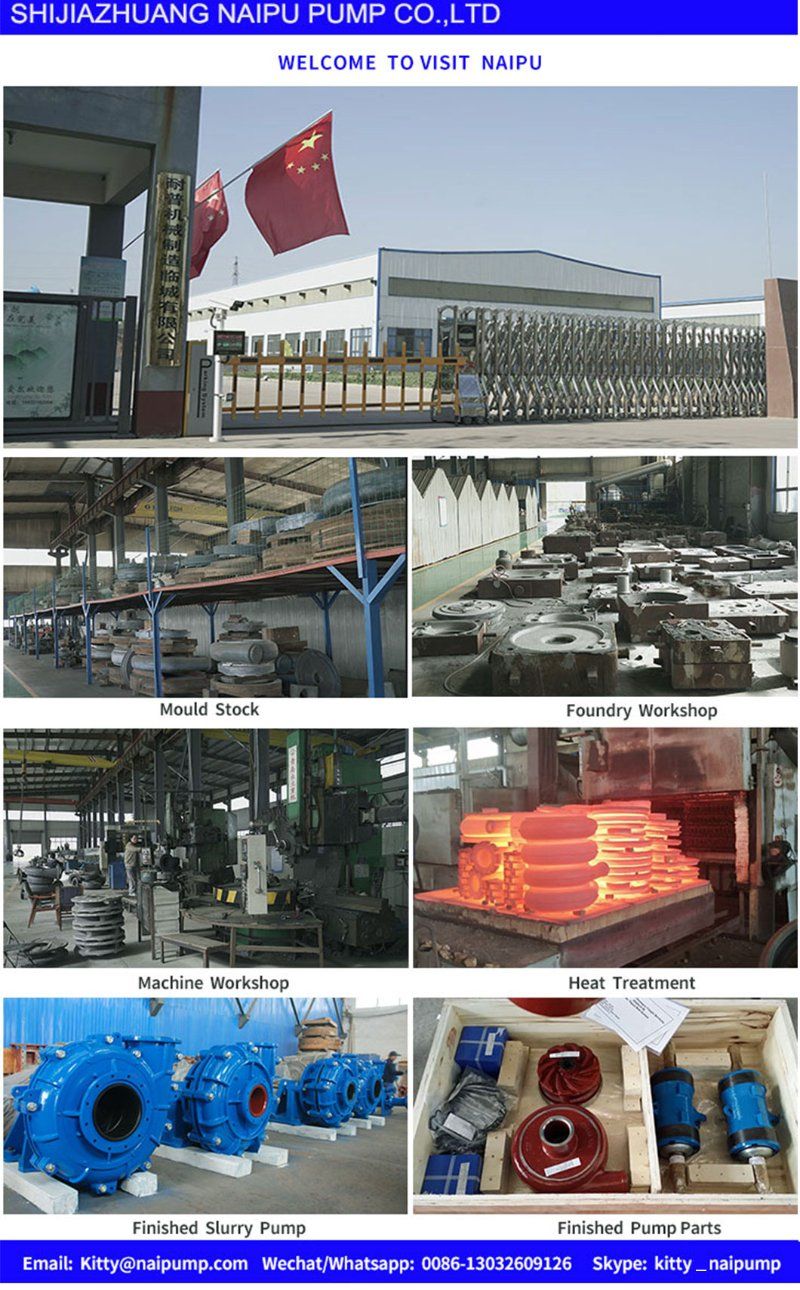 12/10f-Ah Slurry Pump Volute Liner G10110A05 A61 for Warman Pump