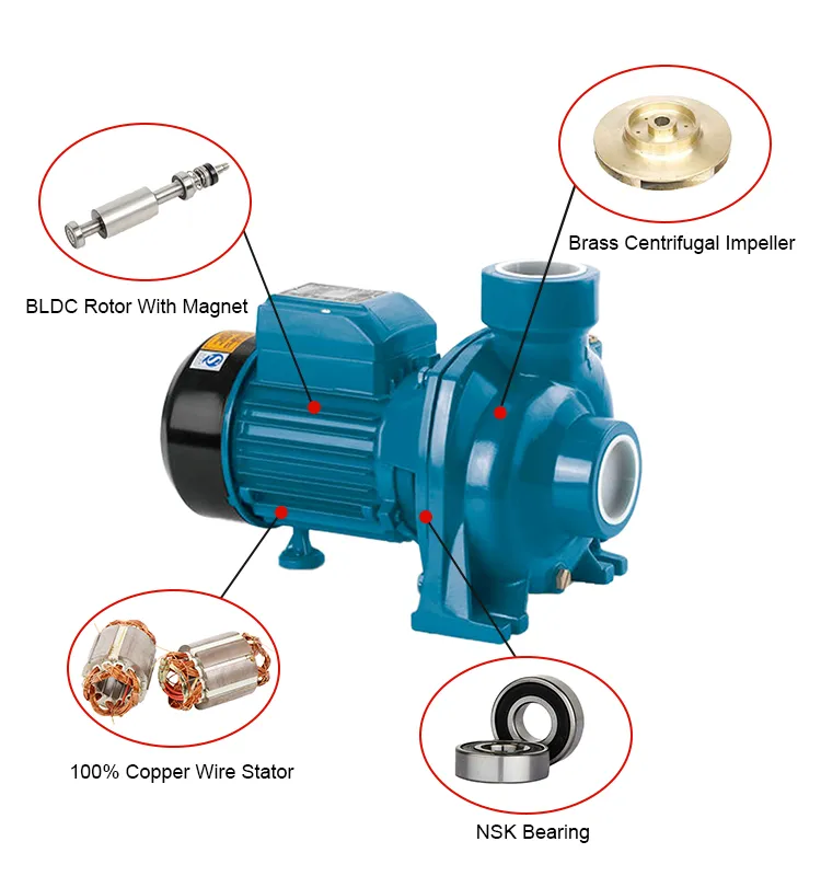 80 Meters Head Surface Solar Water Pump South Africa for Pond Portable DC Solar Pump 300m 150m Head