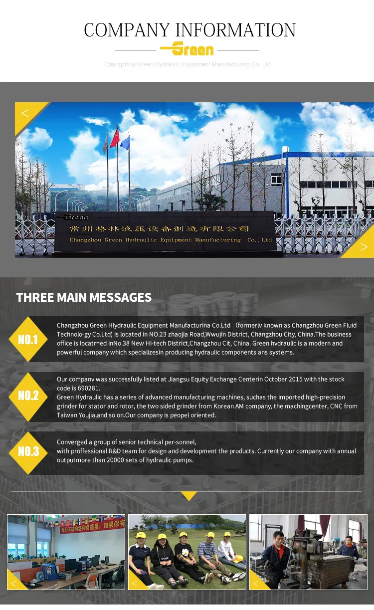 A10V A10vm A10vm45 A10vm45dg Plunger Motor Replace Rexroth