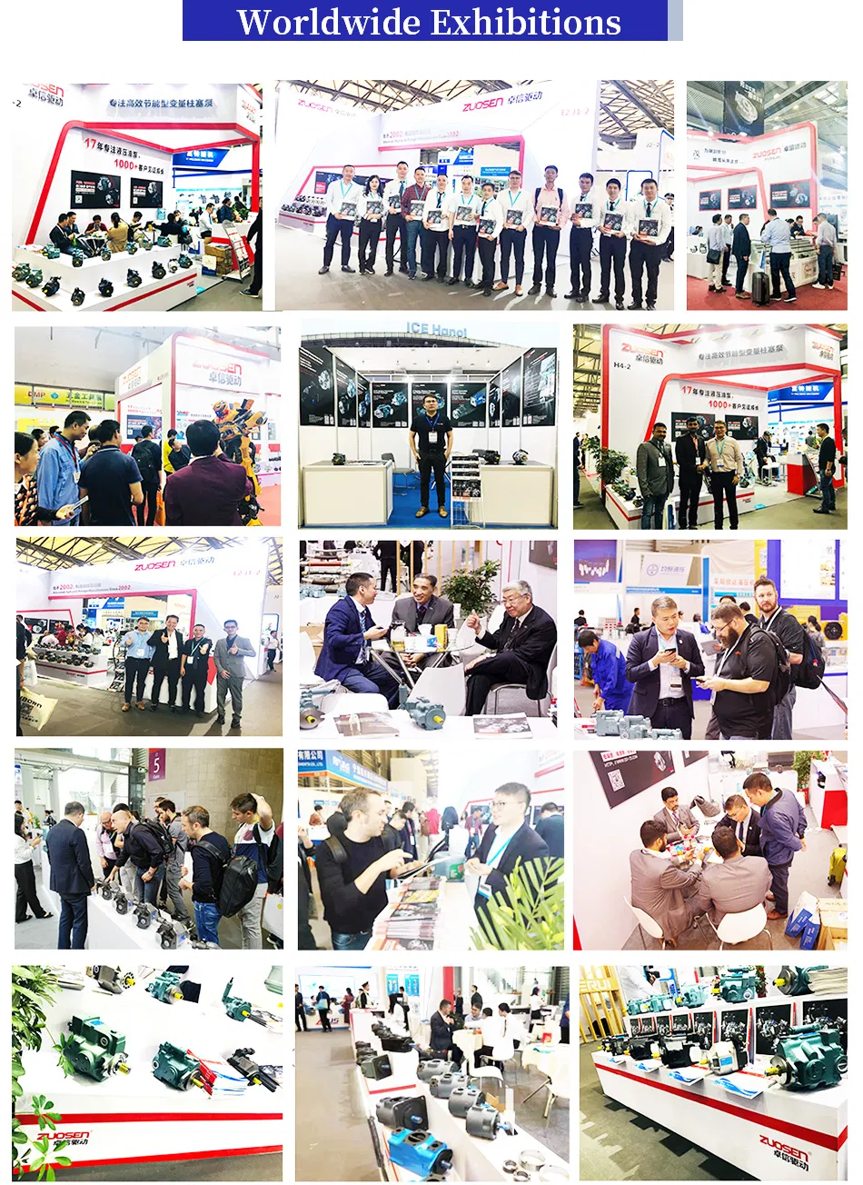 A16 A37 A56 A70 A90 A100 A145 Yuken Hydraulic Piston Pumps Made in China