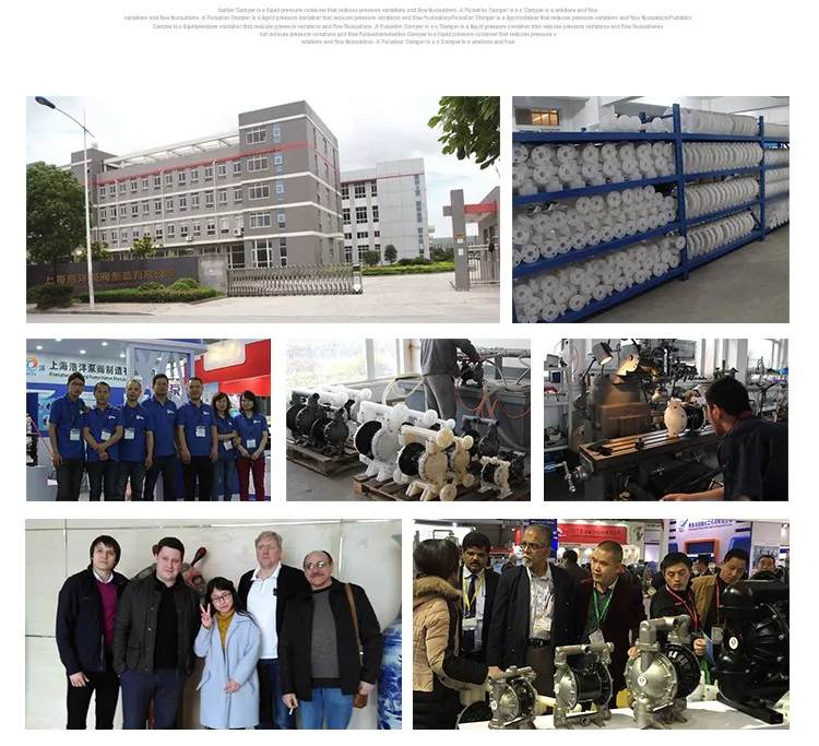 Air Operated Hot Sauce No-Leak Anti-Explosion Diaphragm Pump