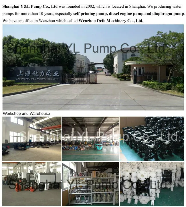 Air Operated PVDF (kynar) Diaphragm Reciprocating Pump for Chemical Industry