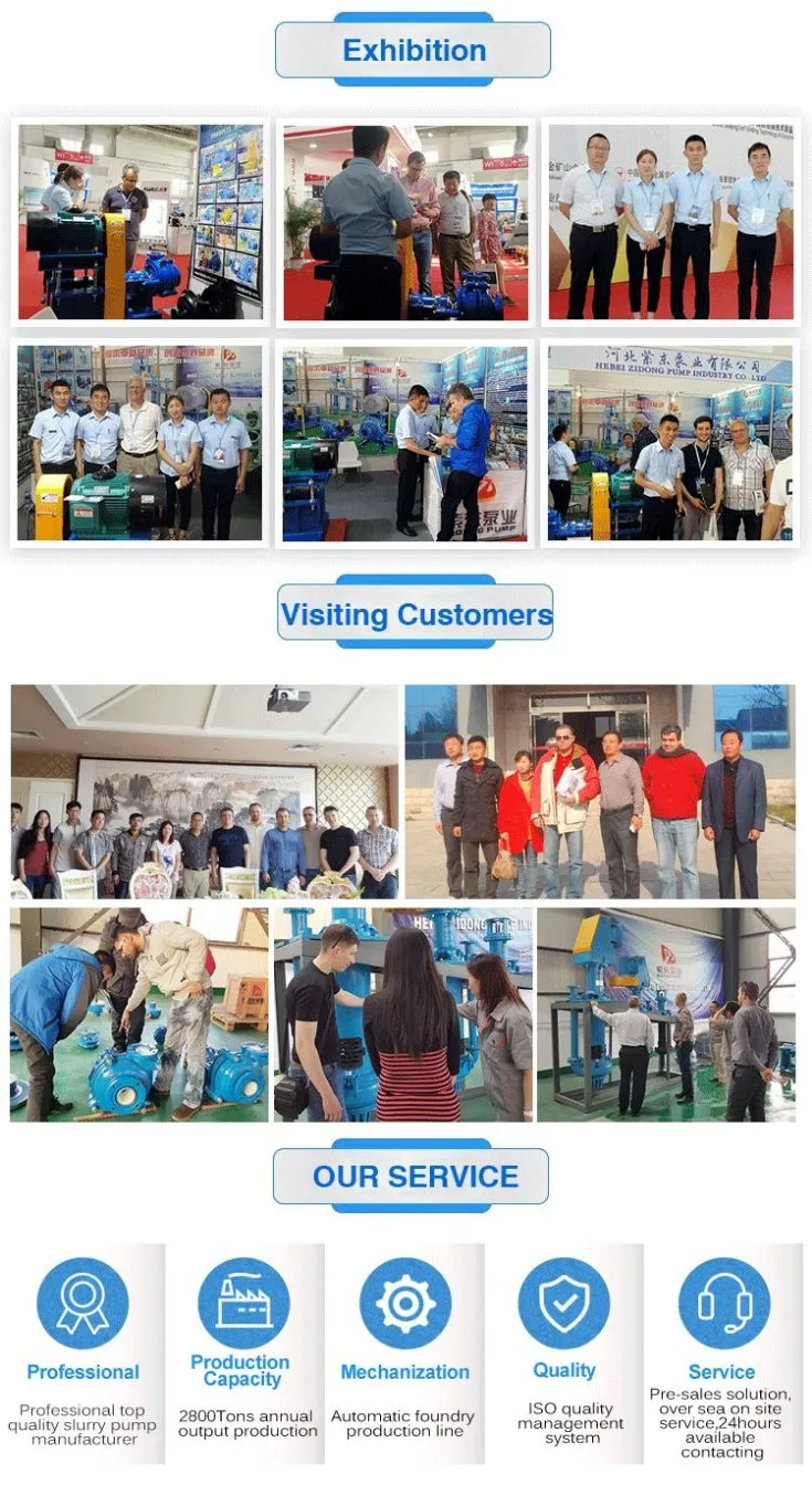 Anti Abrasion Wet Pit Dewatering Slurry Pump Vertical Sludge Lifting Pump