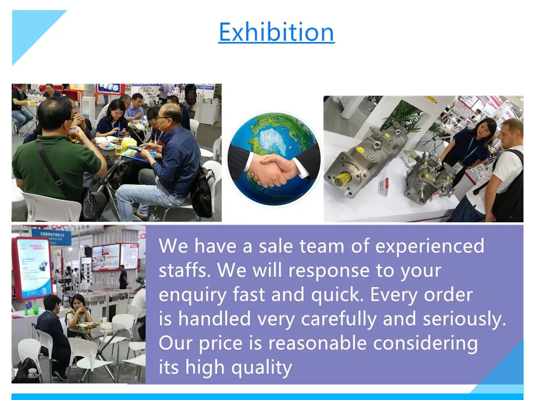 Ap2d Series Ap2d21 Ap2d25 Ap2d28 Gear Pump Charge Pump Polit Pump