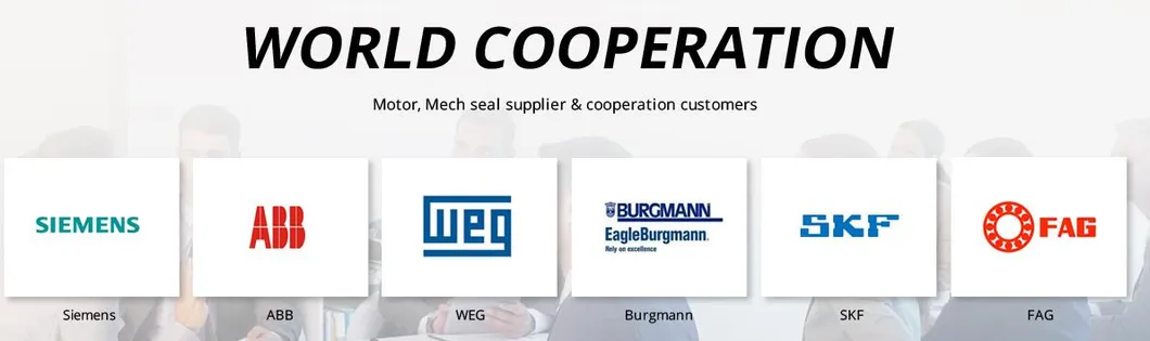 API610 BB4 High Temperature High Pressure Barrel Double Casing Horizontal Centrifugal Multistage Steam Boiler Feed Hot Water Circulation Supply Pump