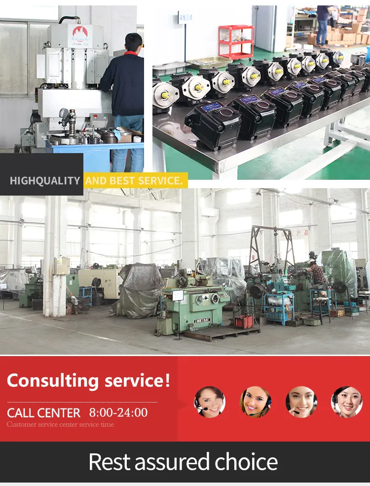 China Cbnl Cbnl-E3/E3 Series Cbnl-E320/E308 Cbnl-E320/E308 Cbnl-E320/E310hydraulic Gear Pump Construction Machinery