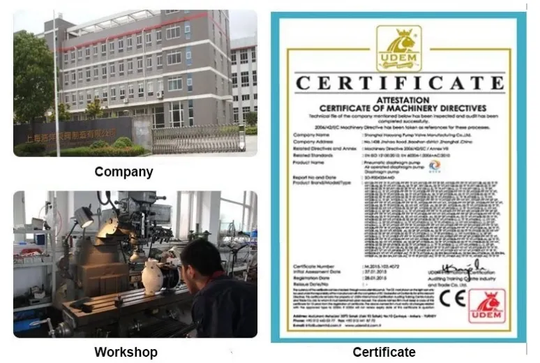 China Manufactures Air Driven Diaphragm Pump Food Grade
