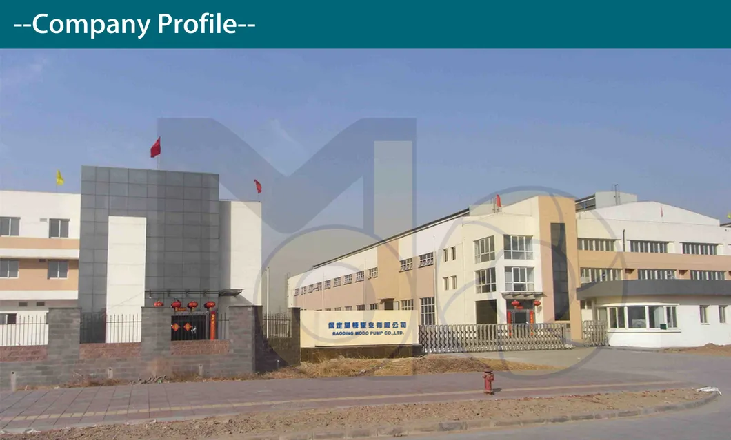 Custom Electric High Pressure Mechanical Seal Irrigation Submersible Sea Water Pump for Urban Water Supply and Drainage