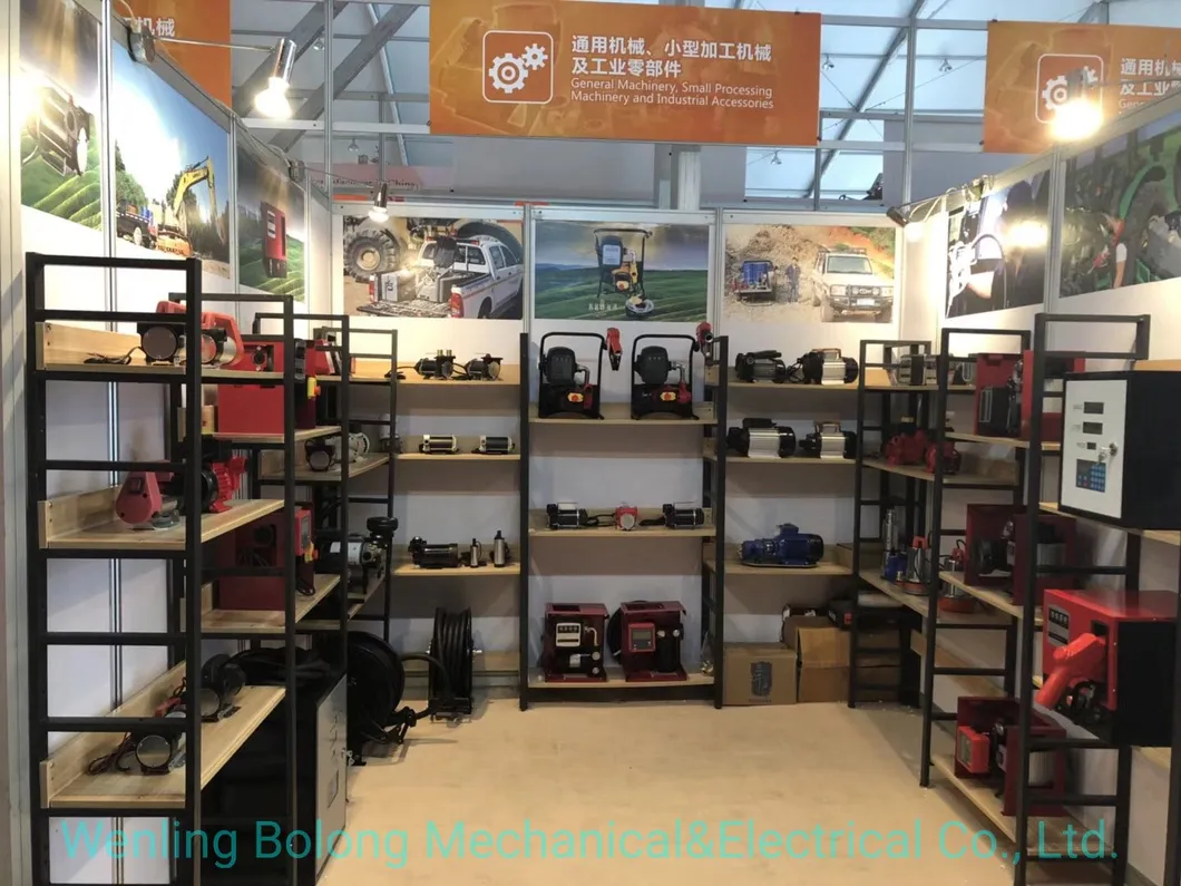 DC Atex Gasoline Petrol Fuel Transfer Pump