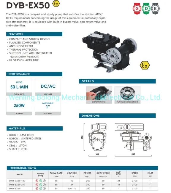 DC Gasoline Fuel Transfer Pump 12V 24V