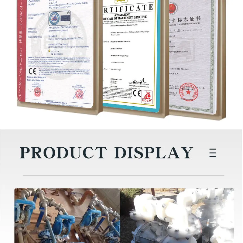 Diaphragm Pump with Good Working