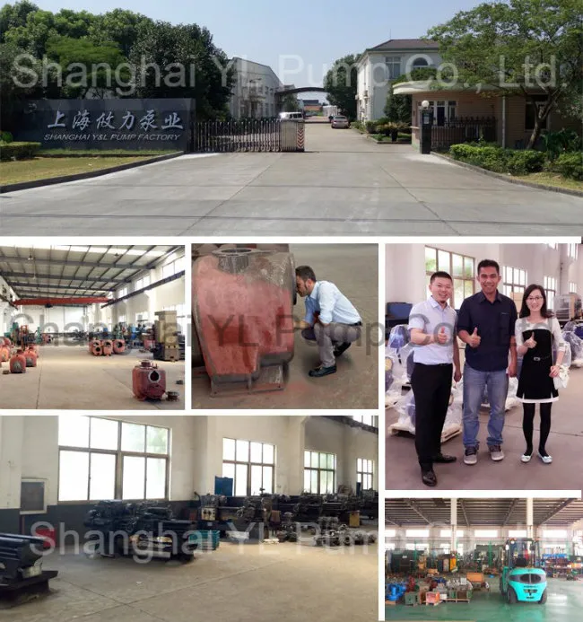 Diesel Engine Centrifugal Split Case/Casing Pump Water for Flood