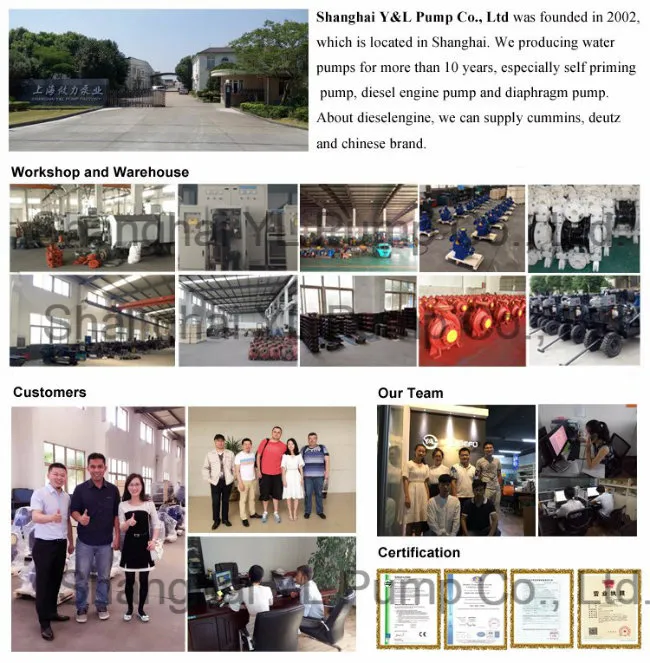 Double Impeller High Head Suction Water Pump for Fire Control