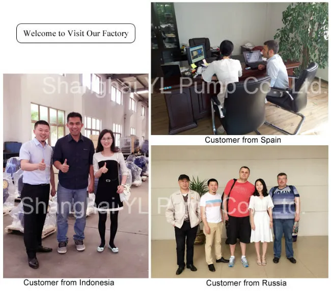 Double Suction Diesel Engine Driven Sewage Pump