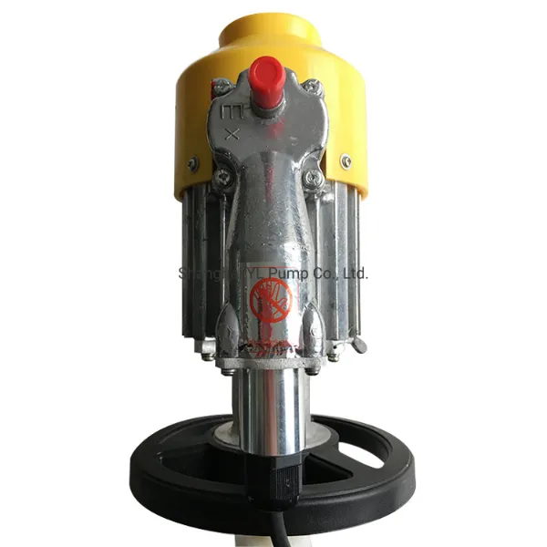 Electric Gasoline Transfer Oil Drum Pump with Factory Price (HD-EX2-V+SS316L-1500HP)