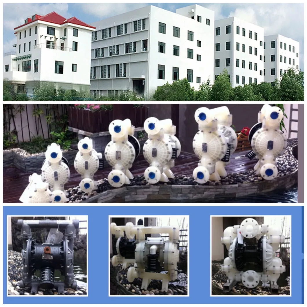 FDA Pneumatic/Air Operated Diaphragm Food Pump