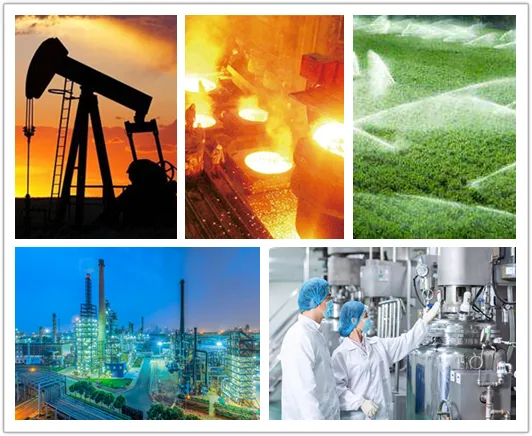 Fluorine Plastic Magnetic Pumps