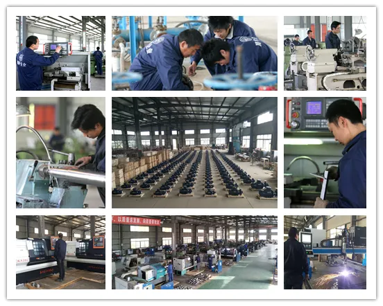 for The Pharmaceutical Industry Plastic Magnetic Drive Pumps