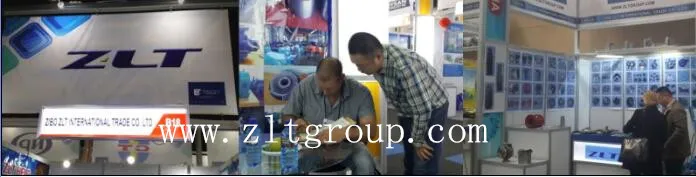 Goulds 3196 Stainless Steel /Alloy Steel Pump Casing by Sand Casting