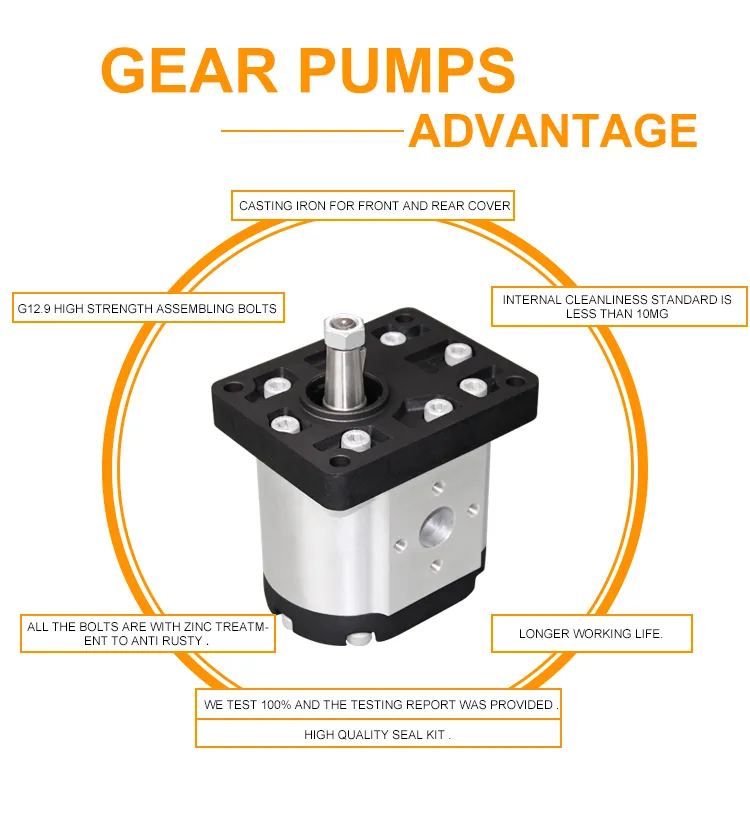 Group 1 Gear Pump 1.6cc/Rev Cw