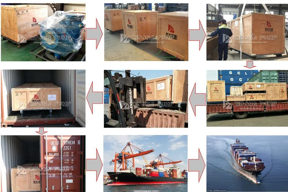 Hard Metal Chrome Alloy Explosive Sludge Slurry Pump