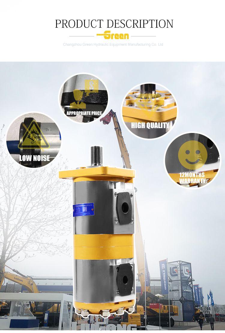 High Pressure Cbnl Cbnl-E3/E3 Series Cbnl-E316/E306 Cbnl-E316/E308 Cbnl-E316/E310 Ehydraulic Gear Pump for Excavators