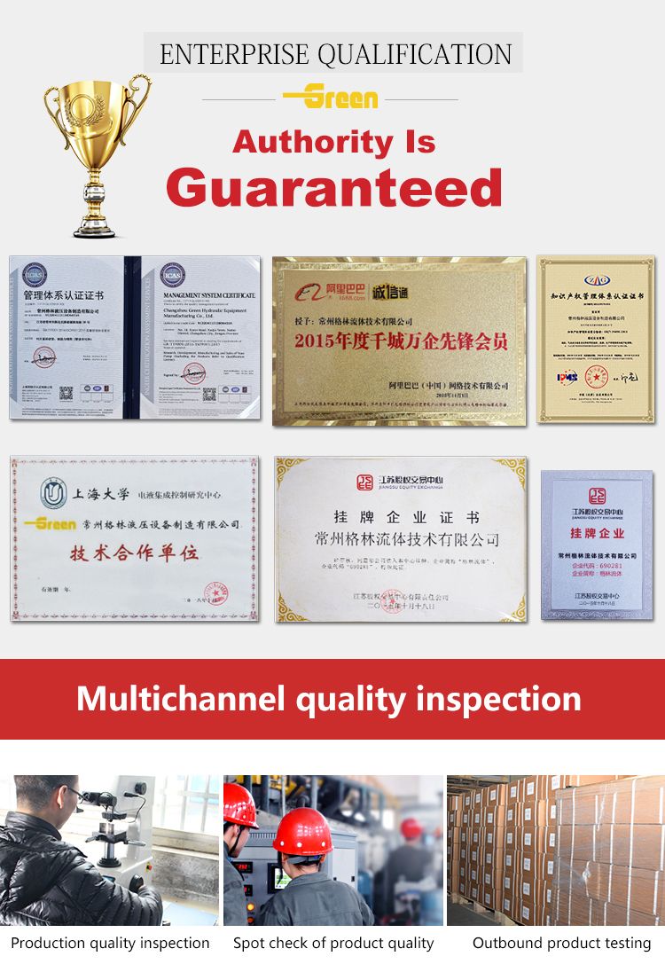 High Pressure Cbnl Cbnl-E3/E3 Series Cbnl-E316/E306 Cbnl-E316/E308 Cbnl-E316/E310 Ehydraulic Gear Pump for Excavators