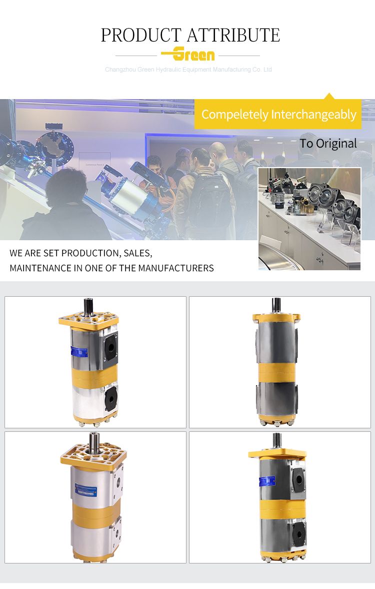 High Pressure Cbnl Cbnl-E3/E3 Series Cbnl-E316/E306 Cbnl-E316/E308 Cbnl-E316/E310 Ehydraulic Gear Pump for Excavators