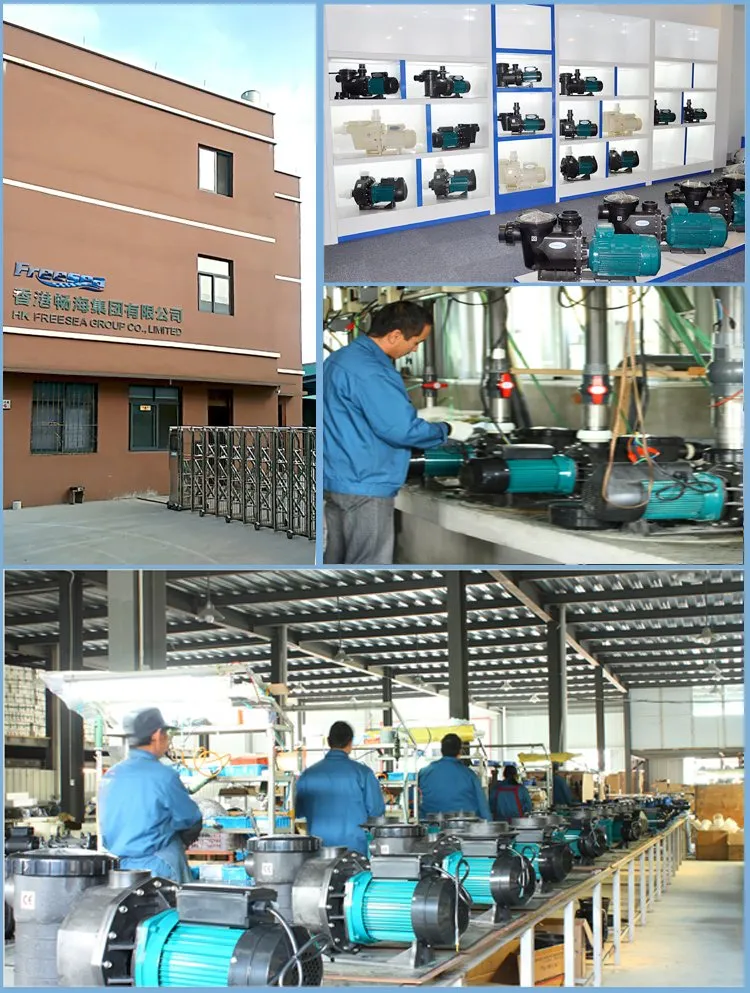 High Quality New Design 1HP Swimming Pool Water Pump