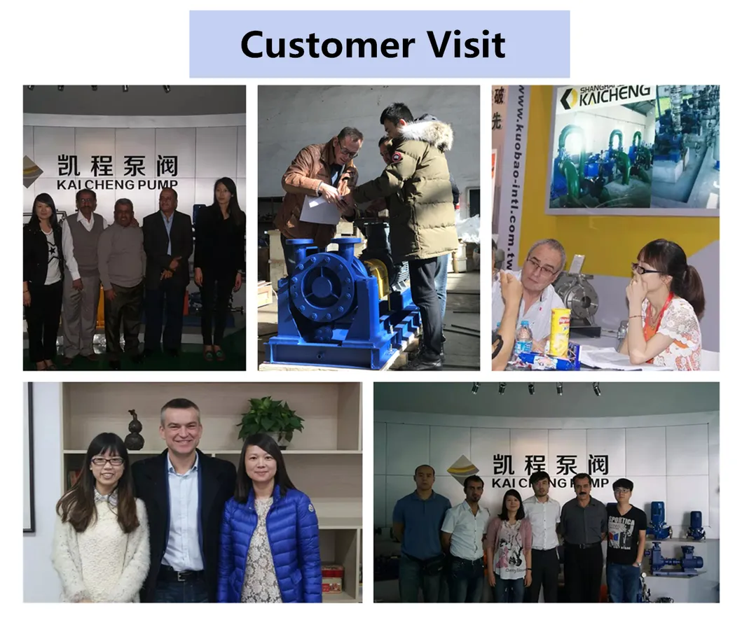 High Viscosity Horizontal Open Impeller Chemical Pump