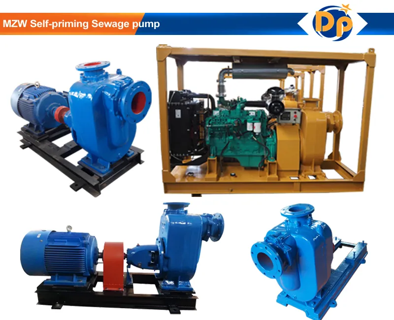 Horizontal Self Priming Centrifugal Water Pump Factory Price