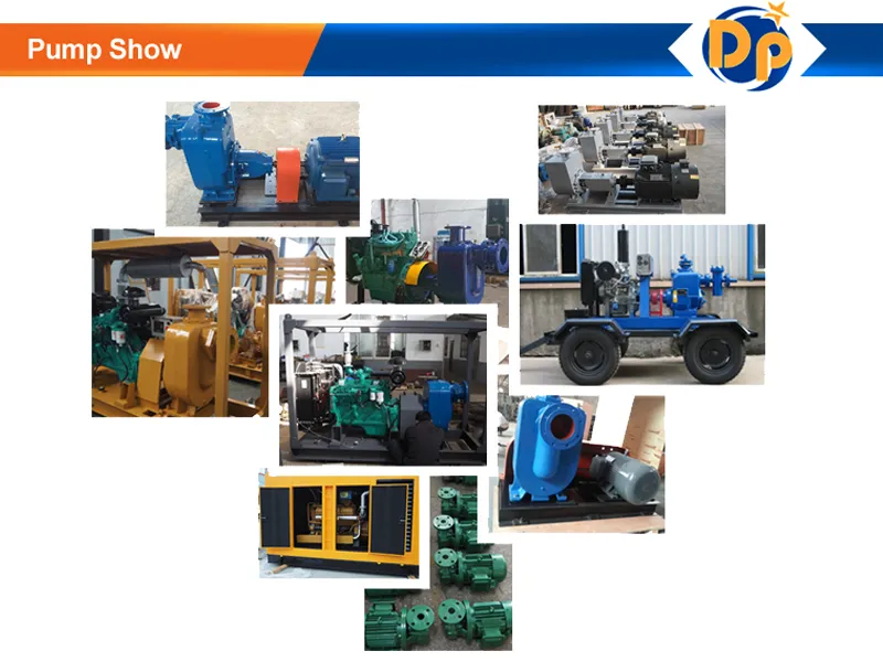 Horizontal Self Priming Centrifugal Water Pump Factory Price