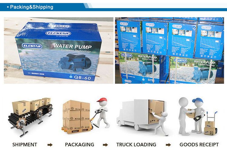 Hot Sale Electric Motor Peripheral Pm-80 1HP Pool Pump Pm80 Mini Water Pump for Clean Water