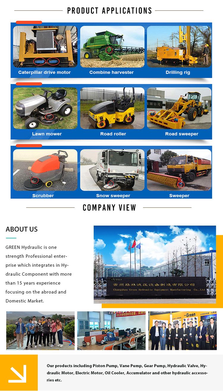 Hot Sale  Hydraulic Wheel Motor Omh Bmh Bm4 Omp OMR Oms Omt Bm