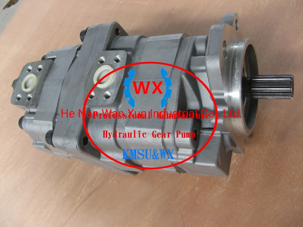 Hydraulic Gear Pump Assy for Komasu Wa600-1 Comparable to Komasu Pn 705-56-44000
