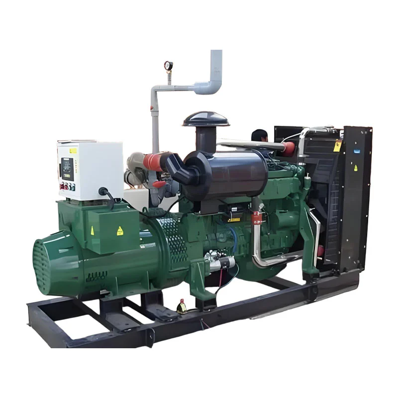Biogas Generator Set
